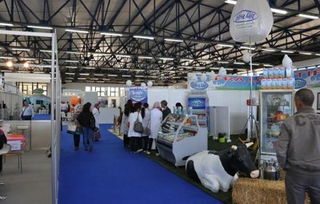 专业会展与展览服务概述