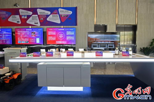 向智而行，在西安感受数字科技力量展览服务