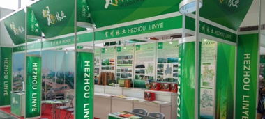 南宁会展公司 专业会展服务与特装展厅搭建解决方案